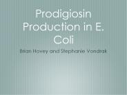 Prodigiosin Production in E. Coli