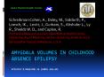 Amygdala Volumes in Childhood Absence Epilepsy Epilepsy PowerPoint PPT Presentation