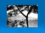 ANTIFUNGALLLER, ETKI MEKANIZMALARI VE KLINIK UYGULAMALAR