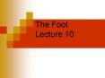 The Foot Lecture 10 PowerPoint PPT Presentation