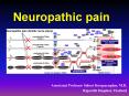 Neuropathic pain PowerPoint PPT Presentation