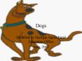 Dogs PowerPoint PPT Presentation