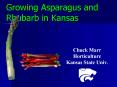 Growing Asparagus and Rhubarb in Kansas PowerPoint PPT Presentation