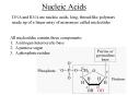 Nucleic Acids PowerPoint PPT Presentation