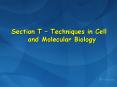 Section T  PowerPoint PPT Presentation
