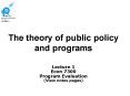 The theory of public policy and programs PowerPoint PPT Presentation