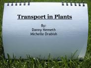Transport in Plants