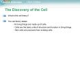 The Discovery of the Cell PowerPoint PPT Presentation