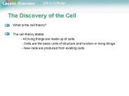 The Discovery of the Cell