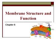 Membrane Structure and Function