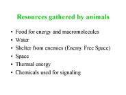 Resources gathered by animals
