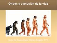 Origen y evoluci