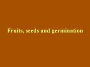 Fruits, seeds and germination