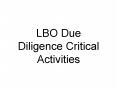 LBO Due Diligence Critical Activities PowerPoint PPT Presentation