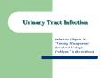 Urinary Tract Infection PowerPoint PPT Presentation