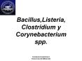Bacillus,Listeria, Clostridium y Corynebacterium spp. PowerPoint PPT Presentation