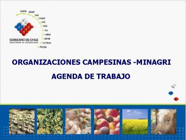 CHILEAN AGRICULTURE BIOTECNOLOGY POLICIES