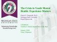 The Crisis in Youth Mental Health: Experience Matters  Hiram E. Fitzgerald, Ph.D. Michigan State University fitzger9@msu.edu  ODMHSAS Children PowerPoint PPT Presentation