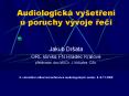 Audiologick PowerPoint PPT Presentation