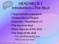 HEAD/NECK I:  Introduction PowerPoint PPT Presentation