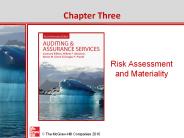 Risk Assessment and Materiality