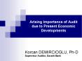 Arising Importance of Audit due to Present Economic Developments PowerPoint PPT Presentation