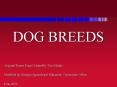 DOG BREEDS PowerPoint PPT Presentation