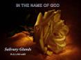 IN THE NAME OF GOD PowerPoint PPT Presentation