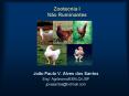 Zootecnia I N PowerPoint PPT Presentation
