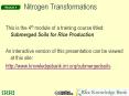Nitrogen Transformations PowerPoint PPT Presentation
