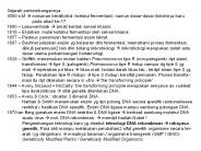 Sejarah perkembangannya:
