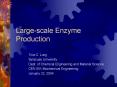 Large-scale Enzyme Production PowerPoint PPT Presentation
