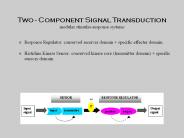 Two - Component Signal Transduction