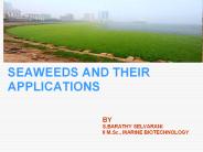 SEAWEEDS AND THEIR APPLICATIONS