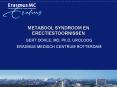 METABOOL SYNDROOM EN ERECTIESTOORNISSEN PowerPoint PPT Presentation