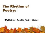 The Rhythm of Poetry: