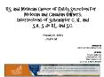 U.S. and Mexican Choice of Entity Selection for Mexican and Canadian Owners; Intersections of Subchapter C, K, and S.A., S de R.L. and S.C. February 16, 2007 PowerPoint PPT Presentation