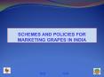 SCHEMES AND POLICIES FOR MARKETING GRAPES IN INDIA PowerPoint PPT Presentation