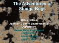 The Adventures of Sludge Bugs PowerPoint PPT Presentation