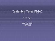 Isolating Total RNA? PowerPoint PPT Presentation