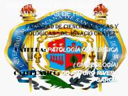 UNIVERSIDAD MICHOACANA DE SAN NICOL