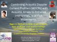 Combining Acoustic Doppler Current Profilers (ADCPs) with Acoustic Arrays to Enhance Interpretation of Fish Movements. PowerPoint PPT Presentation