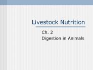Livestock Nutrition