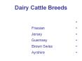 Dairy Cattle Breeds PowerPoint PPT Presentation