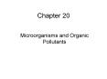 Microorganisms and Organic Pollutants PowerPoint PPT Presentation