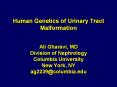 Human%20Genetics%20of%20Urinary%20Tract%20Malformation%20%20Ali%20Gharavi,%20MD%20Division%20of%20Nephrology%20Columbia%20University%20New%20York,%20NY%20ag2239@columbia.edu PowerPoint PPT Presentation