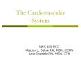 The Cardiovascular System PowerPoint PPT Presentation