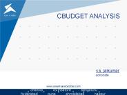 CBUDGET ANALYSIS