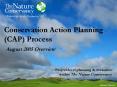 Conservation Action Planning (CAP) Process PowerPoint PPT Presentation