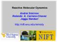 Reactive Molecular Dynamics  Andrei Smirnov Rolando A. Carreno-Chavez Jaggu Nanduri  http://nift.wvu.edu/remody PowerPoint PPT Presentation